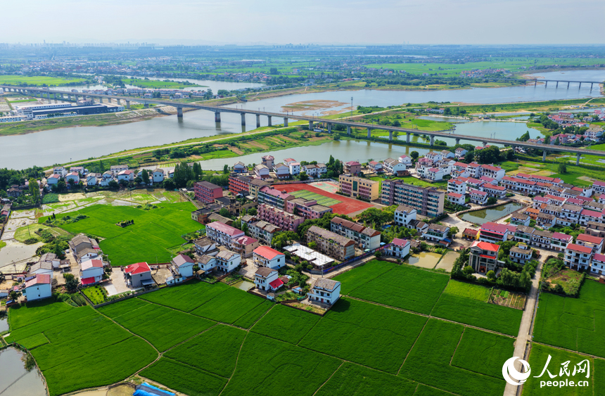 南昌縣涇口鄉，廣袤的田野與村落、公路、河流共同構成一幅美麗的鄉村畫卷。人民網記者 毛思遠攝