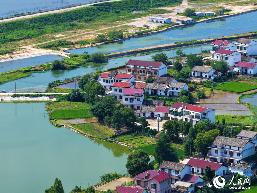 南昌縣涇口鄉，廣袤的田野與村落、公路、河流共同構成一幅美麗的鄉村畫卷。人民網記者 毛思遠攝