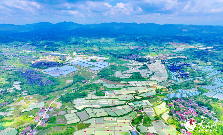 撫州市南豐縣萊溪鄉農光互補生態養殖基地，色彩斑斕的甲魚塘如同大地調色盤。人民網 朱海鵬攝