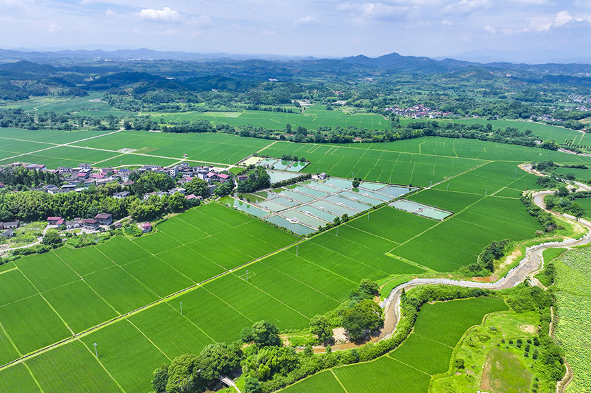 江西省撫州市南豐縣萊溪鄉黃滿村，翠綠的稻田與道路、山巒、民居相映成景。謝東攝