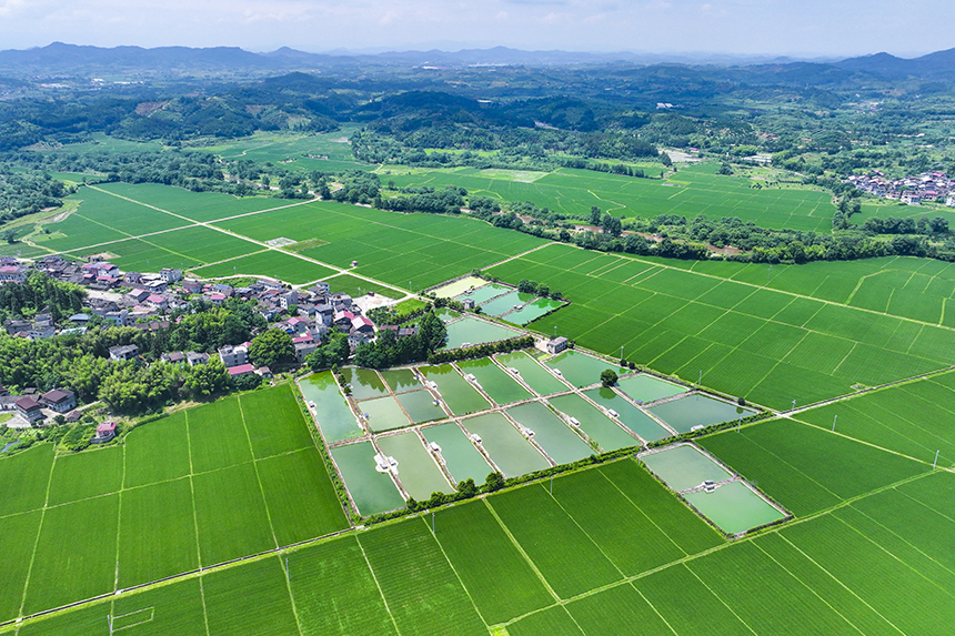 江西省撫州市南豐縣萊溪鄉黃滿村，翠綠的稻田與道路、山巒、民居相映成景。謝東攝