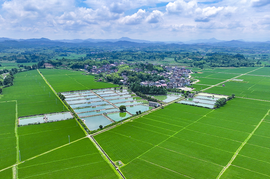 江西省撫州市南豐縣萊溪鄉黃滿村，翠綠的稻田與道路、山巒、民居相映成景。謝東攝