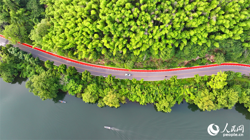 贛州市上猶縣陡水鎮，車輛在農村公路上行駛，沿線水清景美綠意濃。人民網 朱海鵬攝