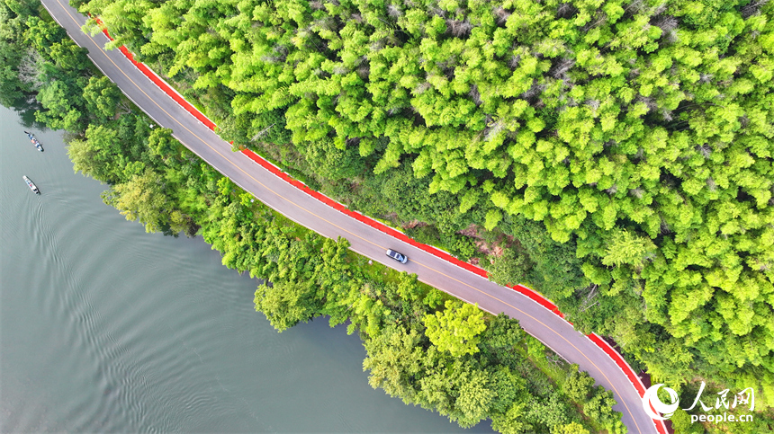 贛州市上猶縣陡水鎮，車輛在農村公路上行駛，沿線水清景美綠意濃。人民網 朱海鵬攝