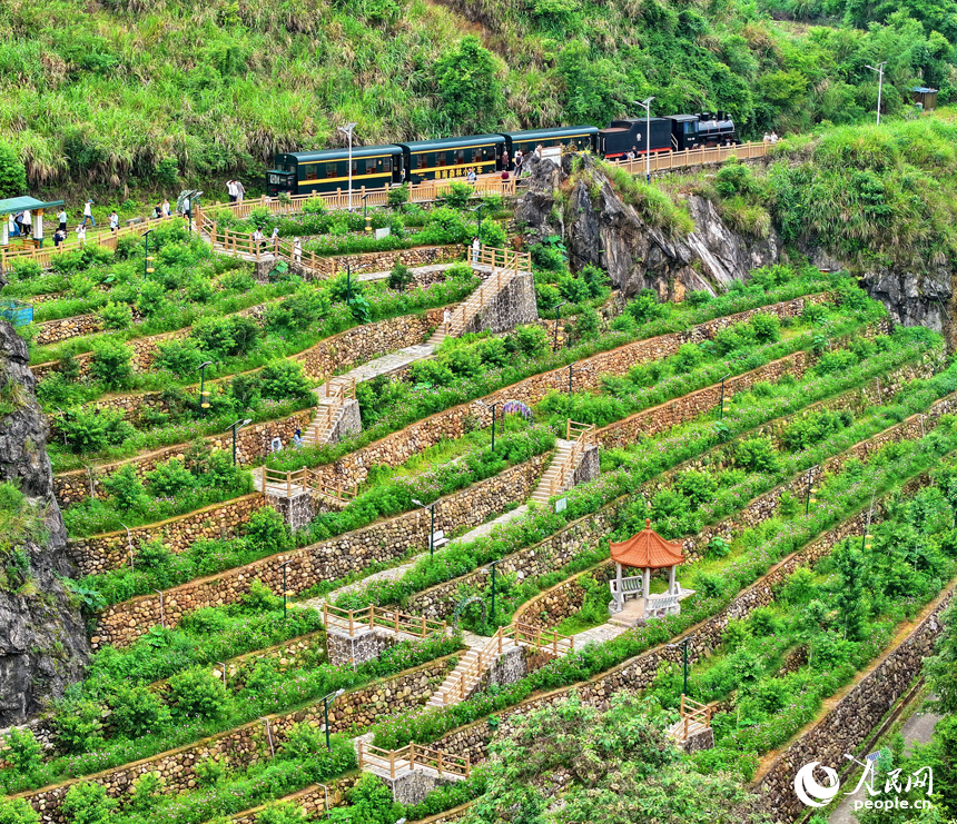 上猶縣梅水鄉，游客在站臺搭乘森林小火車，暢游綠色生態和美鄉村。 人民網 朱海鵬攝