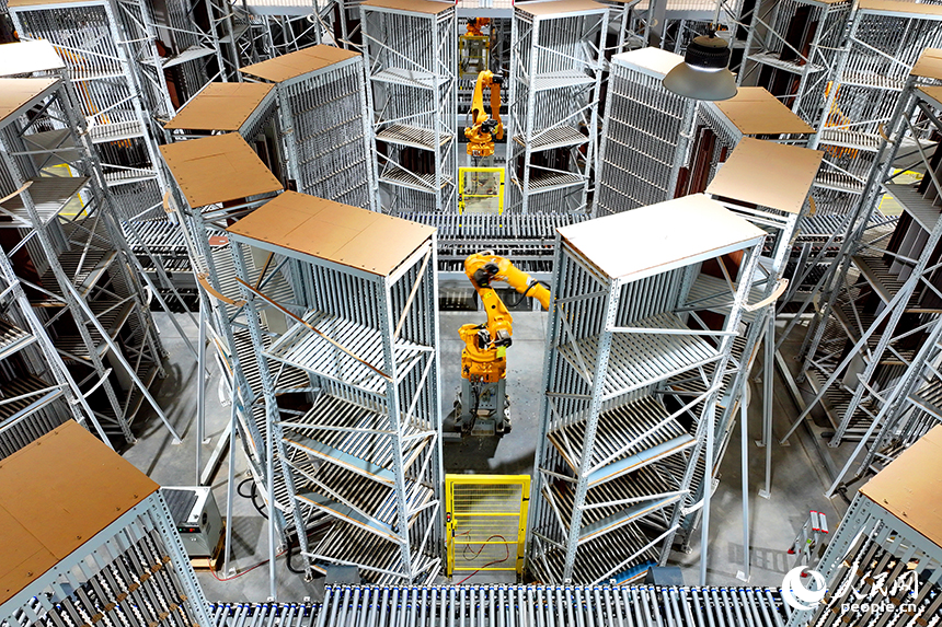 智能制造企業車間內，智能機器人手臂快速運轉，板材分揀包裝有序進行。人民網 朱海鵬攝