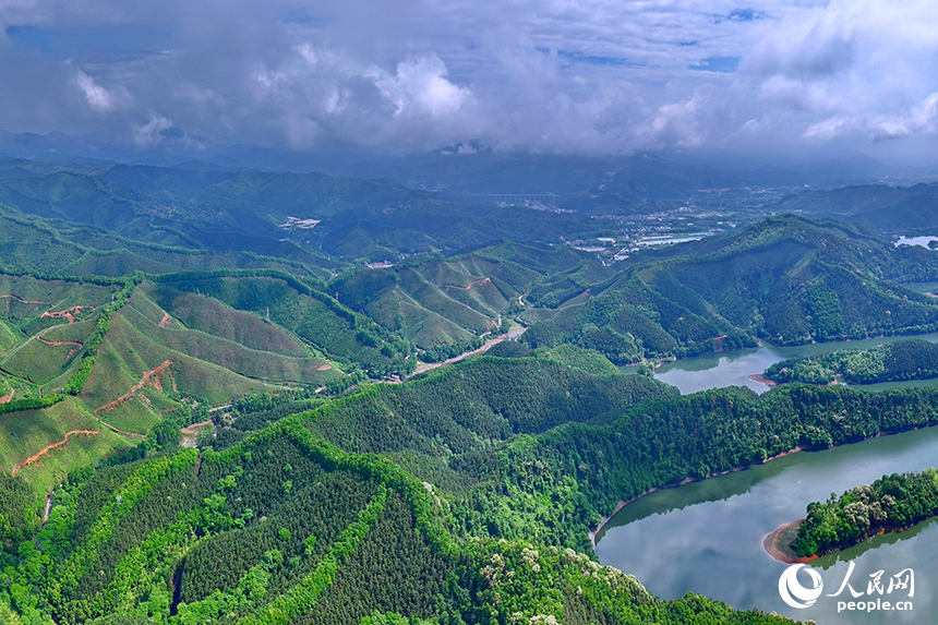 贛州市大余縣浮江鄉通村公路兩旁生機勃勃，生態修復后的礦山綠意盎然。人民網 朱海鵬攝