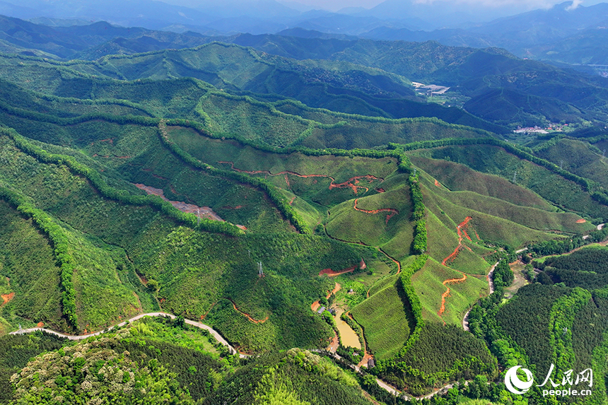 贛州市大余縣浮江鄉通村公路兩旁生機勃勃，生態修復后的礦山綠意盎然。人民網 朱海鵬攝