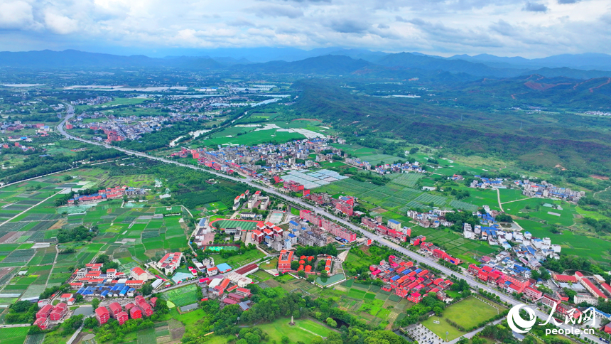 瑞金市葉坪鎮葉坪村，鱗次櫛比的房屋與郁郁蔥蔥的田園、山丘、樹木相映成景。人民網 朱海鵬攝