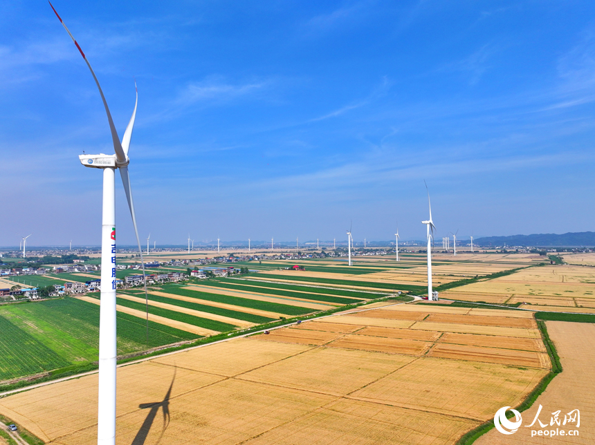 九江市柴桑區江洲鎮風光旖旎，風力發電機迎風運轉，源源不斷地輸出清潔電能。人民網 朱海鵬攝