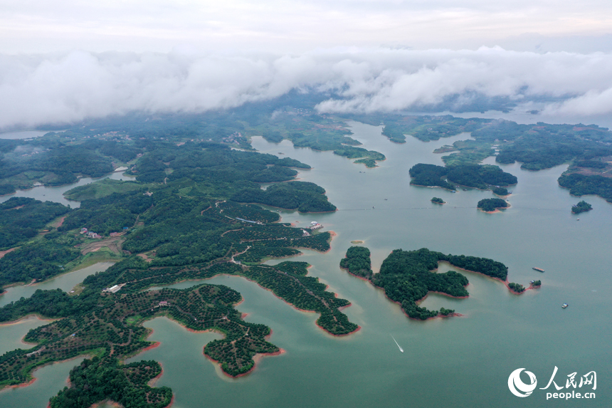 武寧縣廬山西海中形態各異的島嶼在雨后被云霧環繞。人民網記者 時雨攝