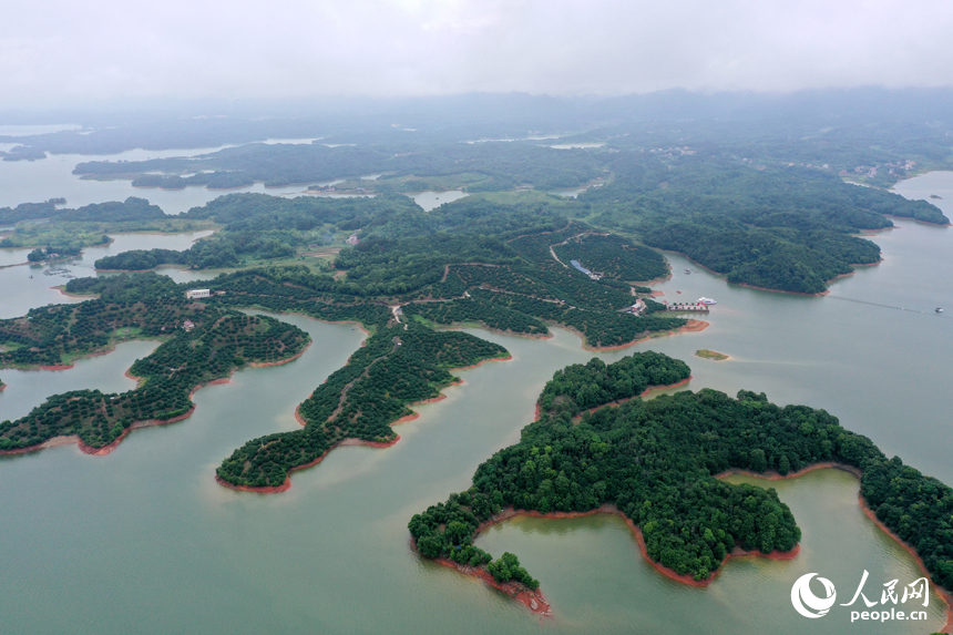 武寧縣廬山西海中形態各異的島嶼在雨后被云霧環繞。人民網記者 時雨攝