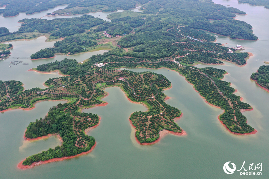 武寧縣廬山西海中形態各異的島嶼上郁郁蔥蔥，吸引不少游客前來游玩。人民網記者 時雨攝