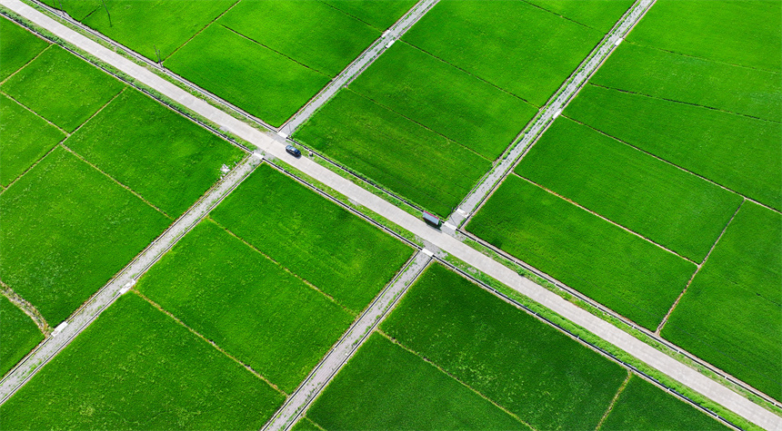 高標準農田里綠意盎然，與村莊、公路相映成景，勾勒出一幅生機勃勃的夏日田園畫卷。郭昊攝