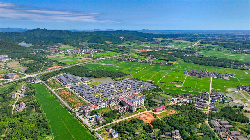 高標準農田里綠意盎然，與村莊、公路相映成景，勾勒出一幅生機勃勃的夏日田園畫卷。郭昊攝