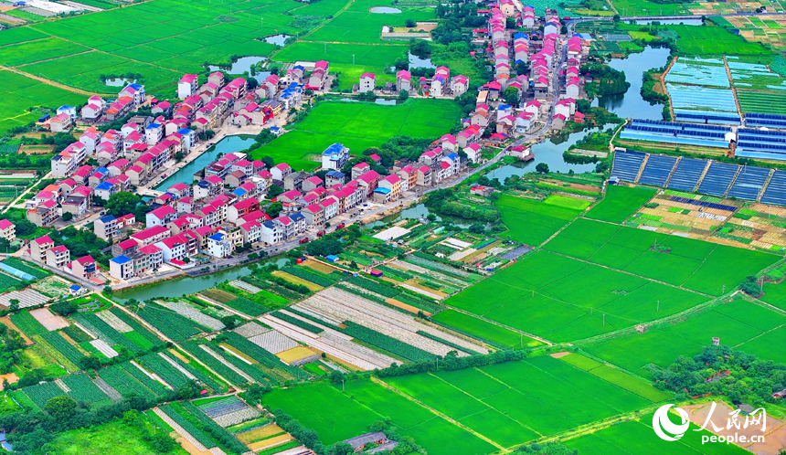 豐城市小港鎮北港村一帶，錯落分布農家房屋與田園、河塘相映成景，構成一幅水潤田疇的和美鄉村畫卷。人民網 朱海鵬攝