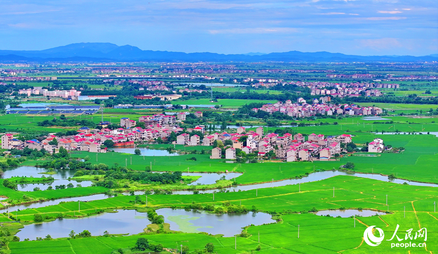 豐城市小港鎮北港村一帶，錯落分布農家房屋與田園、河塘相映成景，構成一幅水潤田疇的和美鄉村畫卷。人民網 朱海鵬攝