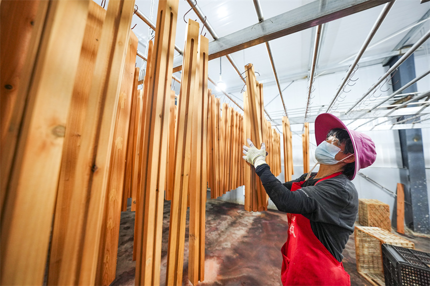 工人正在進行木材加工作業。謝東攝