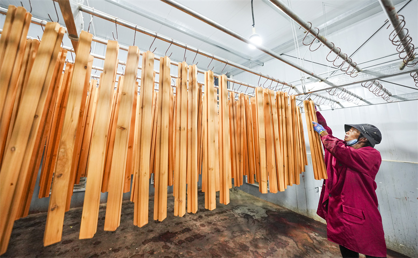 工人正在進行木材加工作業。謝東攝