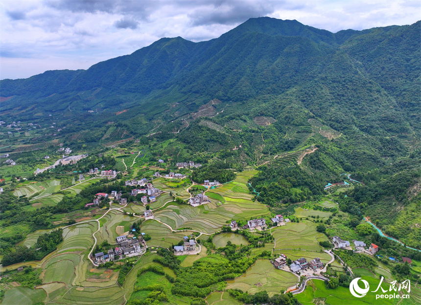 贛州市崇義縣鉛廠鎮穩下村，蓄水翻耕插秧后的梯田與山林、房舍相映成景，呈現出一幅綠意盎然的生態鄉村畫卷。人民網 朱海鵬攝