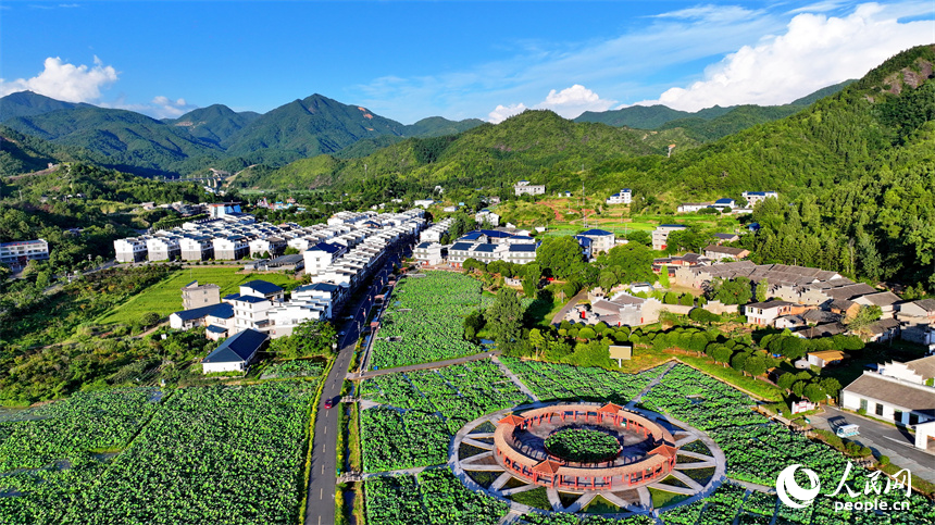 贛州市石城縣琴江鎮大畬村，錯落分布的農房與蓮田、山巒、旅游公路相映成景，構成一幅綠意盎然、和美宜居的山鄉畫卷。人民網 朱海鵬攝