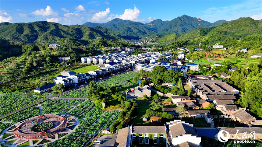 贛州市石城縣琴江鎮大畬村，錯落分布的農房與蓮田、山巒、旅游公路相映成景，構成一幅綠意盎然、和美宜居的山鄉畫卷。人民網 朱海鵬攝