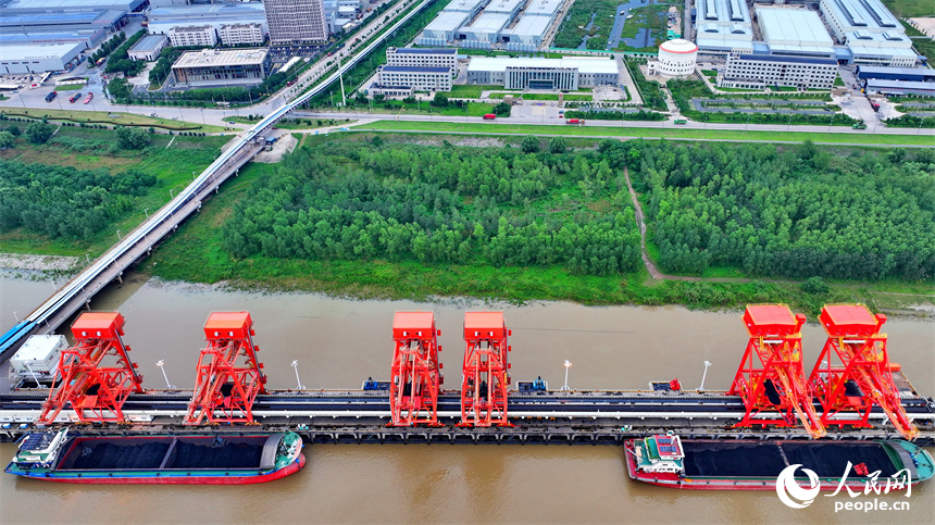 橋吊機臂林立，電煤卸船有序推進，一船船電煤經傳輸帶運至發電廠發電。人民網 朱海鵬攝