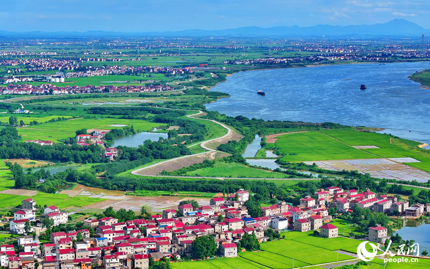 豐城市小港鎮南岸村一帶，鱗次櫛比的紅瓦頂農房與綠色田園、藍天白云相映成景。人民網 朱海鵬攝