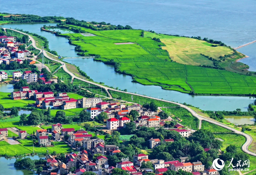 豐城市小港鎮南岸村一帶，鱗次櫛比的紅瓦頂農房與綠色田園、藍天白云相映成景。人民網 朱海鵬攝