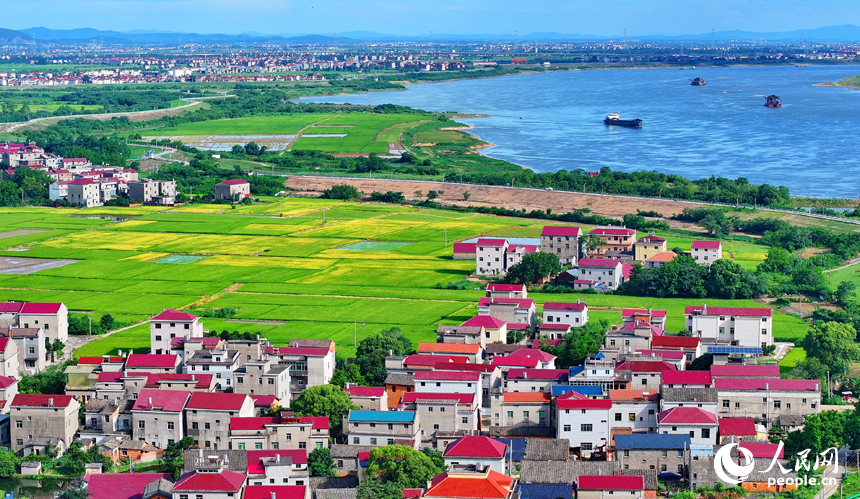 豐城市小港鎮南岸村一帶，鱗次櫛比的紅瓦頂農房與綠色田園、藍天白云相映成景。人民網 朱海鵬攝