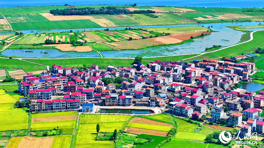 豐城市拖船鎮蛟湖村，錯落分布的房屋與河流、綠樹、農田相映成景。人民網 朱海鵬攝