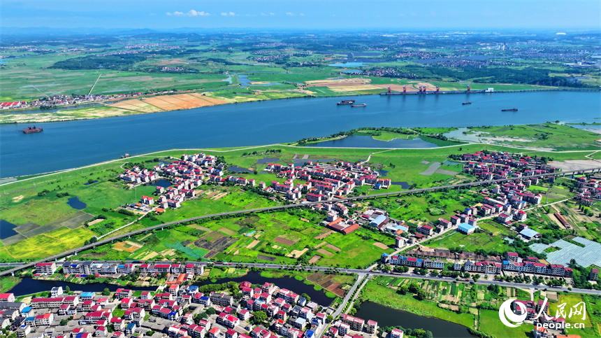 豐城市拖船鎮蛟湖村，錯落分布的房屋與河流、綠樹、農田相映成景。人民網 朱海鵬攝