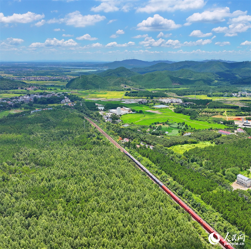 吉安市吉水縣醪橋鎮一帶，高標準農田里種植的早稻由青轉黃，疾馳的列車與遠處鄉村房屋、青山綠樹相映成景。人民網 朱海鵬攝