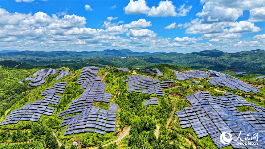 贛州市石城縣琴江鎮漢坑村的光伏發電項目基地，荒山坡上鱗次櫛比的光伏發電板蔚為壯觀。人民網 朱海鵬攝