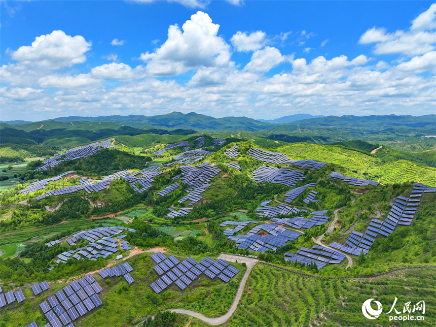 贛州市石城縣琴江鎮漢坑村的光伏發電項目基地，荒山坡上鱗次櫛比的光伏發電板蔚為壯觀。人民網 朱海鵬攝