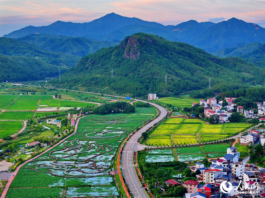 贛州市石城縣琴江鎮前江村，通村道路與村莊、農田、山巒、綠樹相映成趣，構成一幅路暢景美的畫卷。人民網 朱海鵬攝