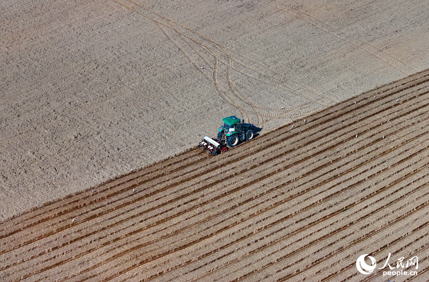 九江市永修縣涂埠鎮南洲村，合作社農機手在播種玉米。人民網 朱海鵬攝