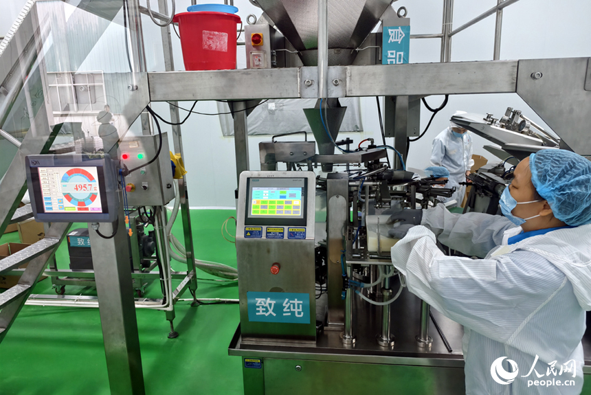 在廣昌縣一家白蓮深加工企業內，工人正在操作智能機械加工白蓮。人民網記者 時雨攝