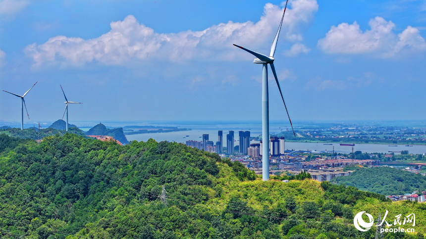 位于九江市彭澤縣的中廣核彭澤泉山風力發電項目風電場，風葉迎風旋轉，轉化成清潔電能輸入電網。人民網 朱海鵬攝