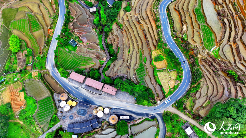 贛州市崇義縣上堡鄉上堡梯田，層層疊疊的梯田與漫山竹木、錯落民居、蜿蜒公路相互映襯。人民網 朱海鵬攝