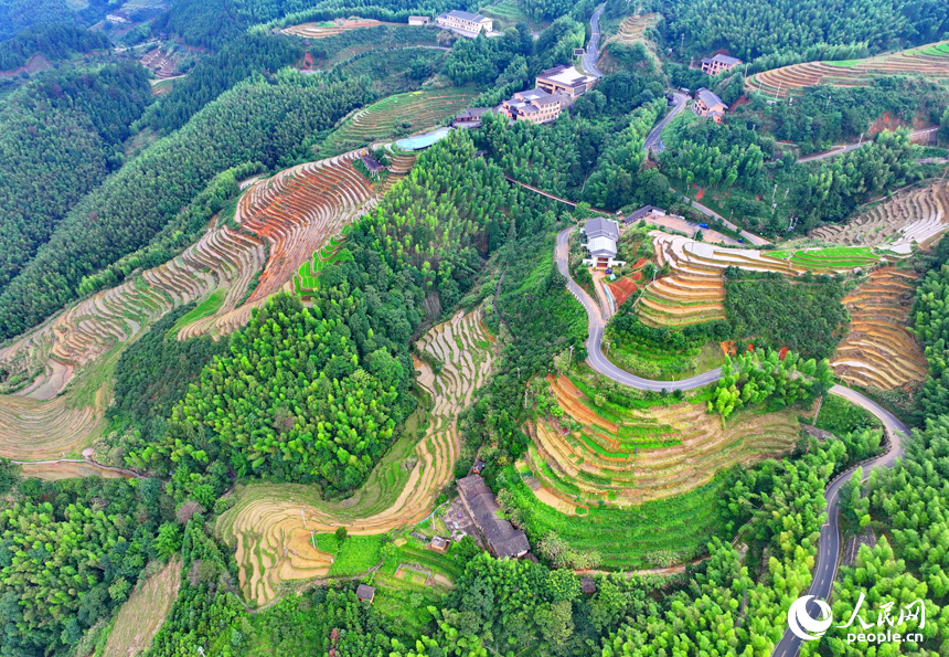 贛州市崇義縣上堡鄉上堡梯田，層層疊疊的梯田與漫山竹木、錯落民居、蜿蜒公路相互映襯。人民網 朱海鵬攝