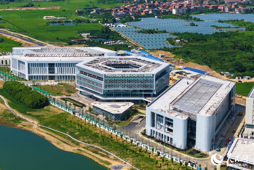 南昌瑤湖科學島一期項目——南昌實驗室建設現場，項目整體形象已初步顯現。人民網記者 毛思遠攝