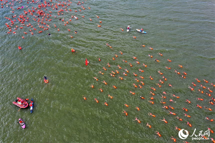 游泳愛好者在贛江中劈波斬浪，享受游泳運動的快樂。人民網記者 時雨攝