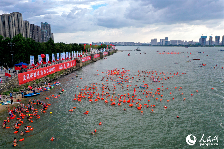 游泳愛好者奮力向終點游去。人民網記者 時雨攝