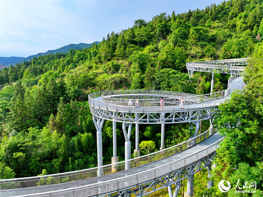 贛州市崇義縣城市森林空間，游客在鋼格柵棧道上散步游玩，觀賞綠色森林美景。人民網 朱海鵬攝