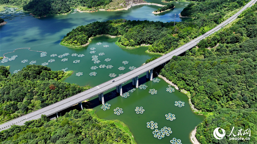 贛州市尋烏縣三標鄉東江源村，尋全高速車輛穿村而過，群山碧水與藍天白云相映襯，構成一幅水清岸綠景美的生態畫卷。人民網 朱海鵬攝