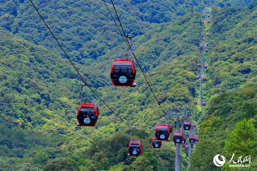 贛州市安遠縣三百山，許多游客搭乘纜車前來景區游玩。人民網 朱海鵬攝