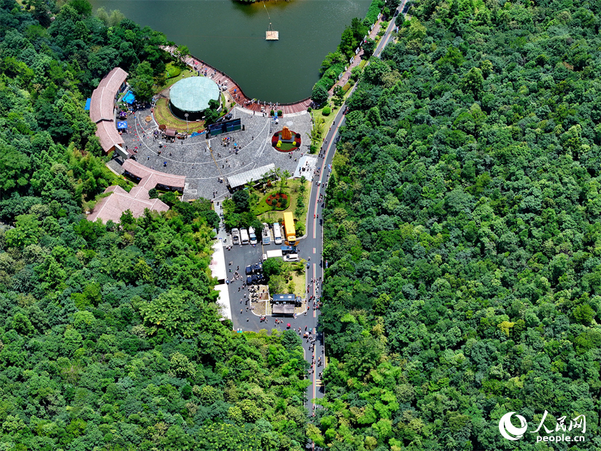 贛州市安遠縣三百山，許多游客搭乘纜車前來景區游玩。人民網 朱海鵬攝