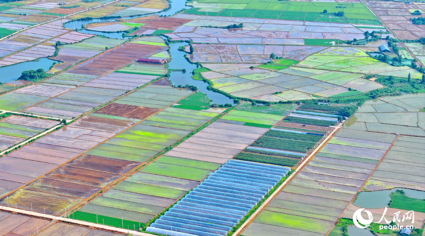 豐城市小港鎮沙埂村，連片的高標準農田色彩斑斕。人民網 朱海鵬攝