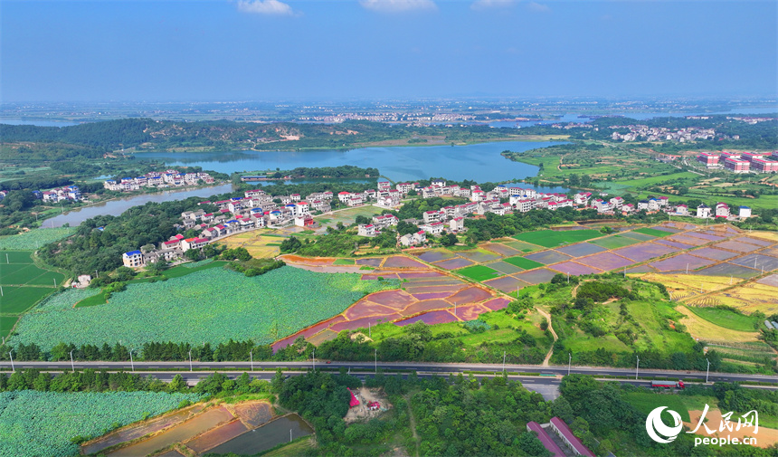 豐城市同田鄉，豐厚一級公路穿村而過，公路沿線的農房、田園、河流、樹木相互映襯，夏景如畫。人民網 朱海鵬攝